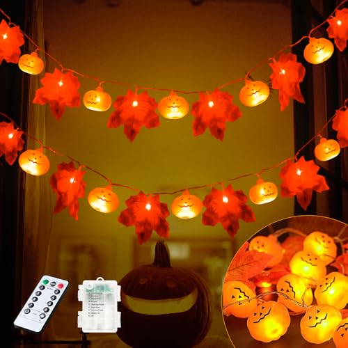 Christmas Projector Light & 60-LED String Lights 30FT 8 Modes O1983