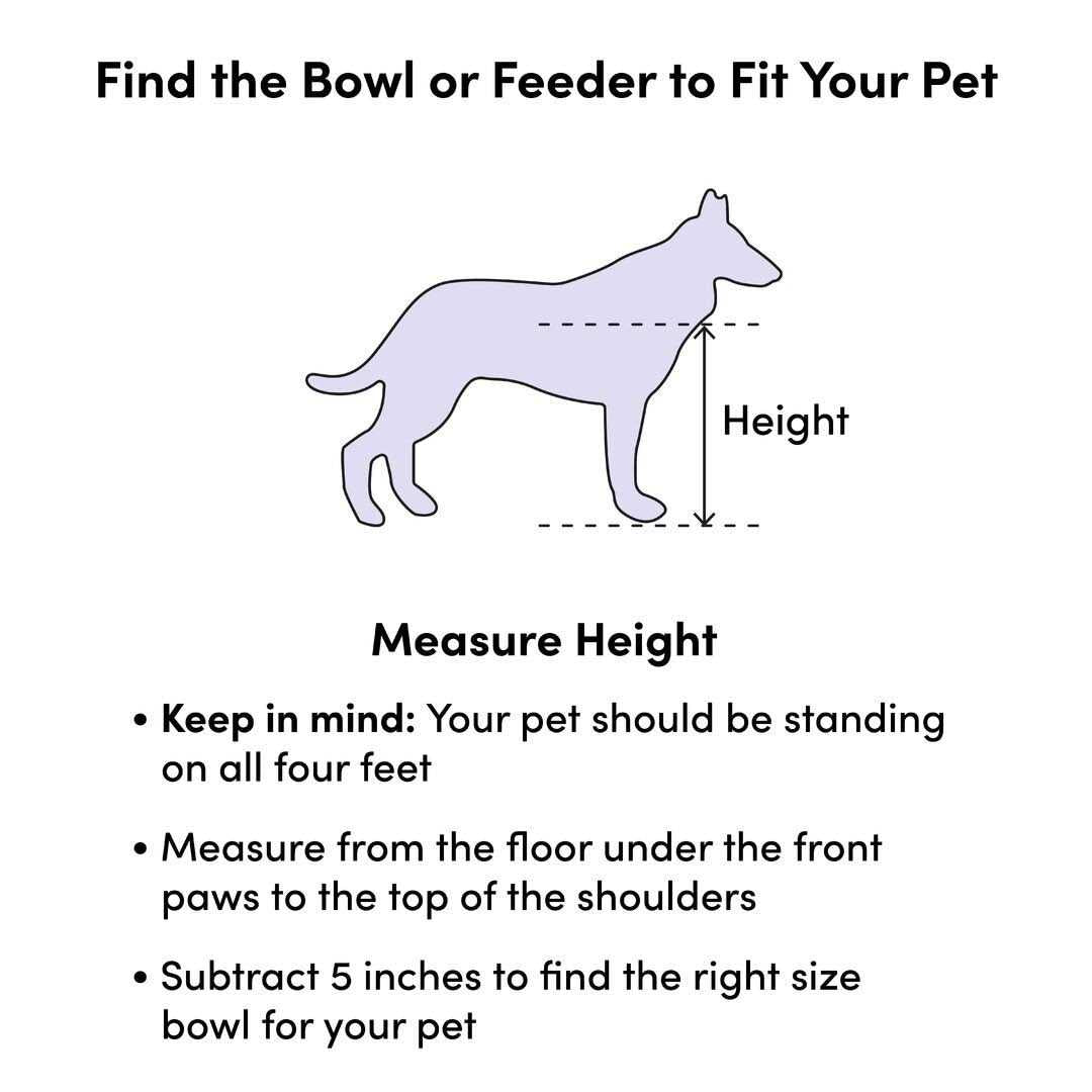 Outdoor Dog Fountain W4419