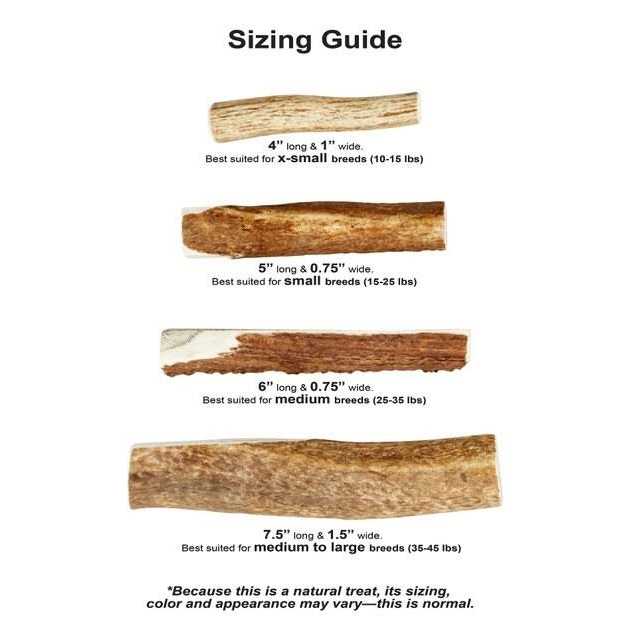Wild Antler Split J94900