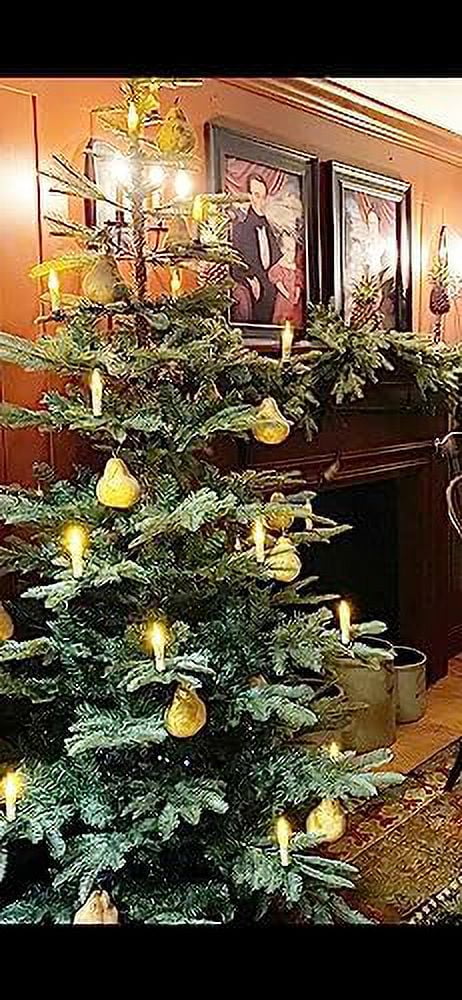 Faux Pears Lot Of Six A202320