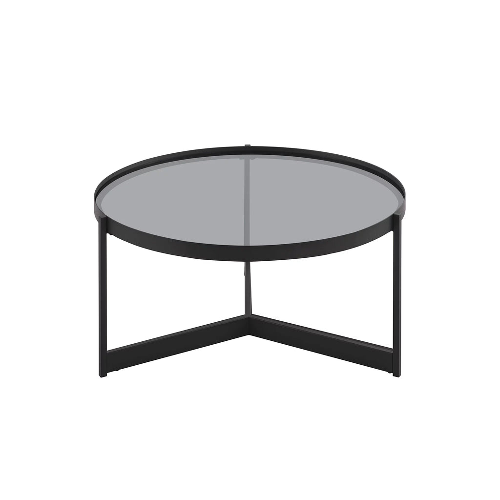 Metal and Glass Coffee Table T110485