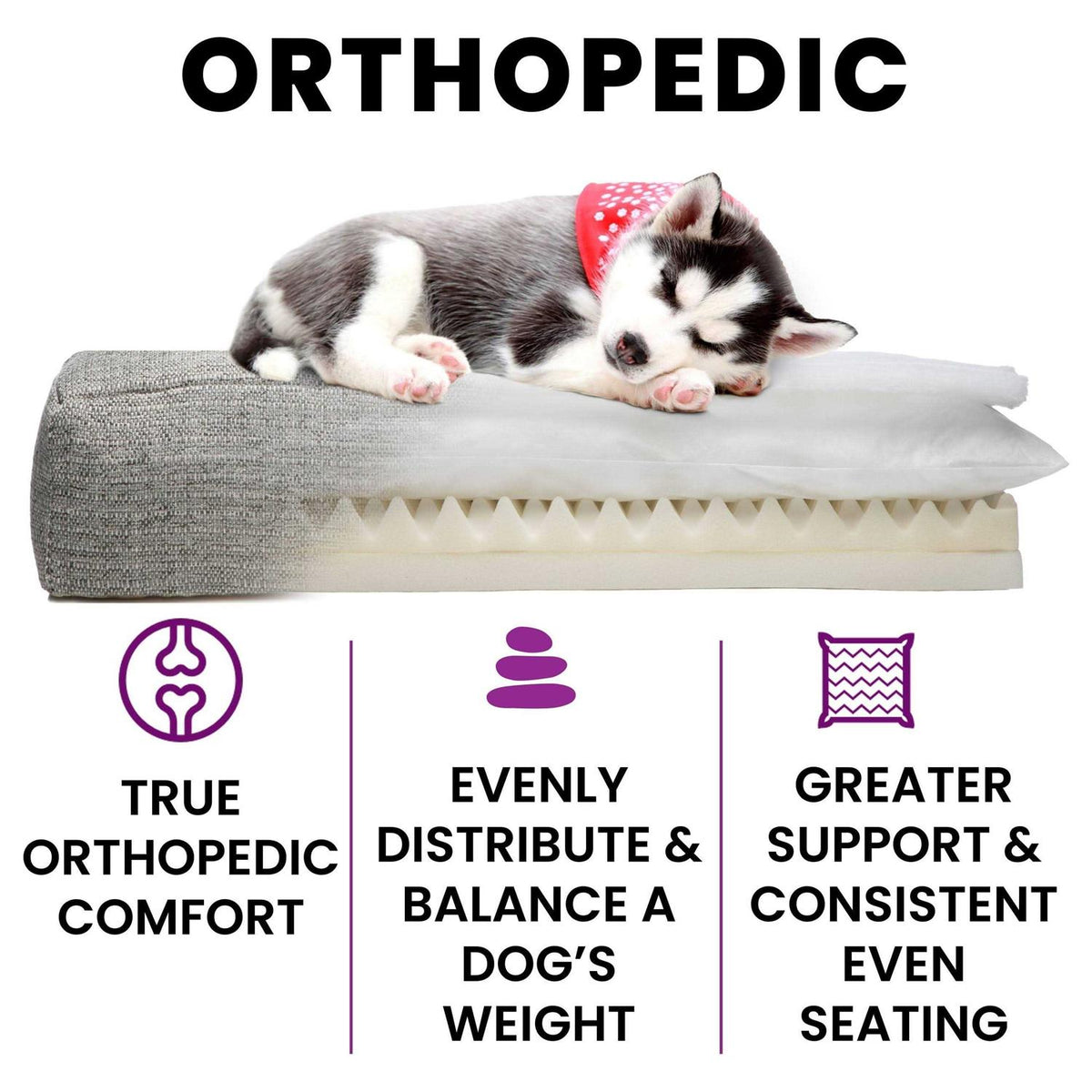 Orthopedic Dog Bed P3163