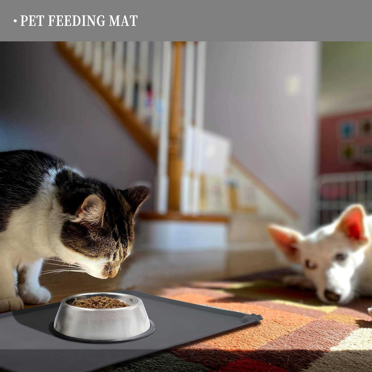 Silicone Dog Cat Bowl Mat Waterproof D314063