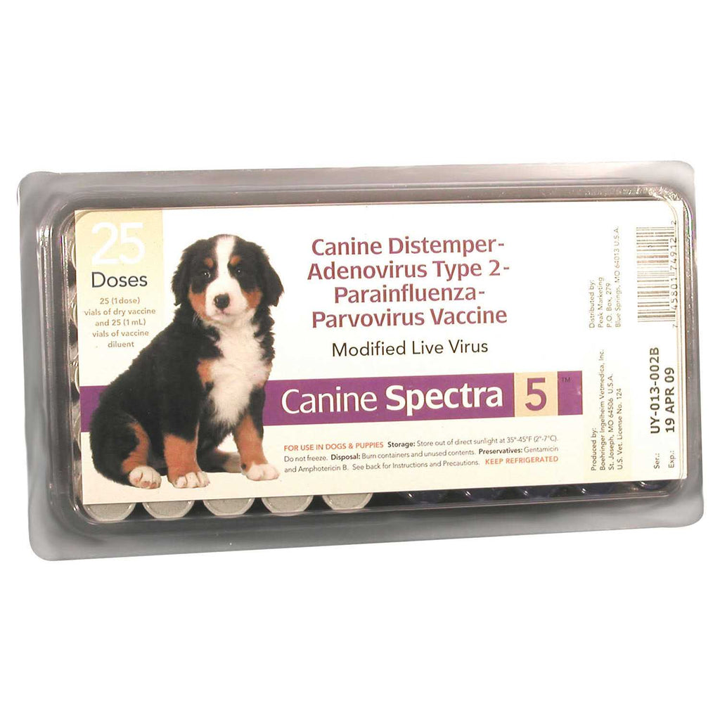 Dog Vaccine S614293