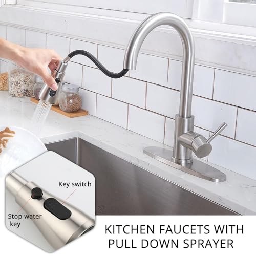 Single Handle Pull Down Sprayer Kitchen Faucet R349319