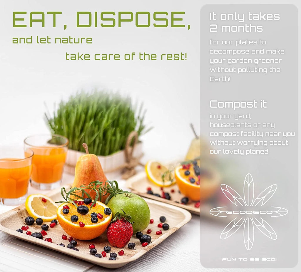 100 Palm Leaf 10 inch Disposable Plates W735