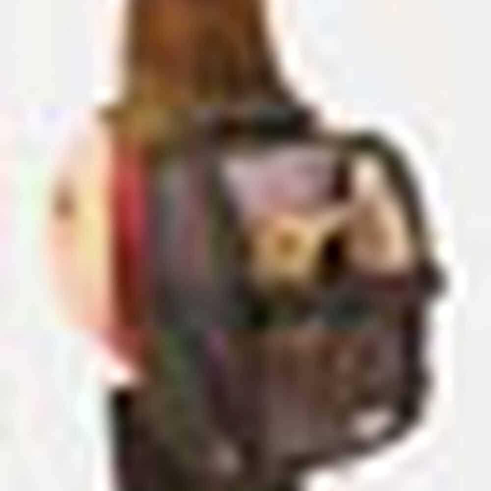 Travel Pet Carrier A1482