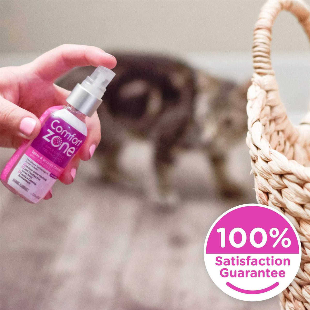 Cat Calming Spray Q27999