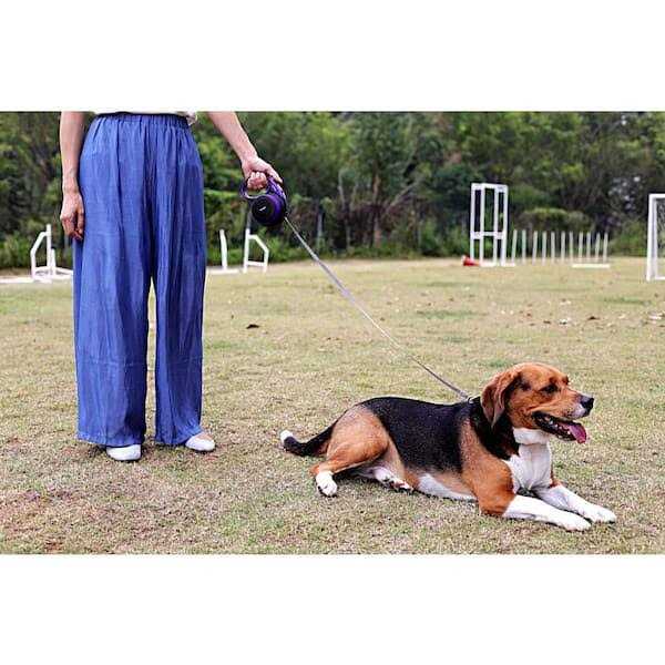 Retractable Leash B9884