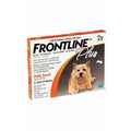 Small Dogs 2-10Kg Pet Supplies O362781