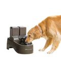Outdoor Dog Fountain W4419