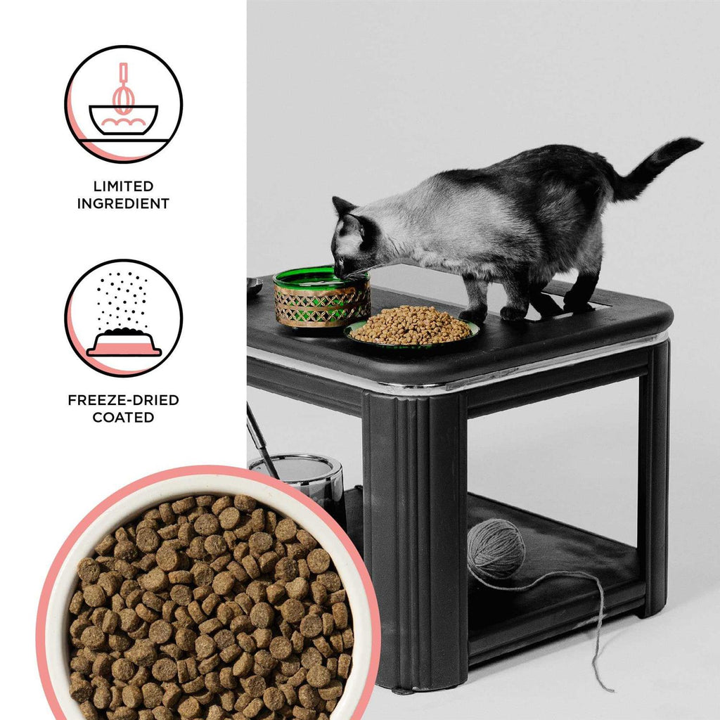 Chicken Recipe Dry Cat Food F384
