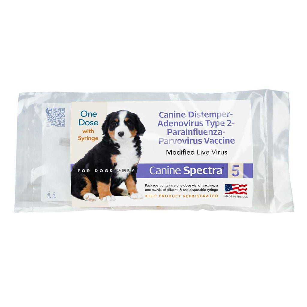 Dog Vaccine S614293
