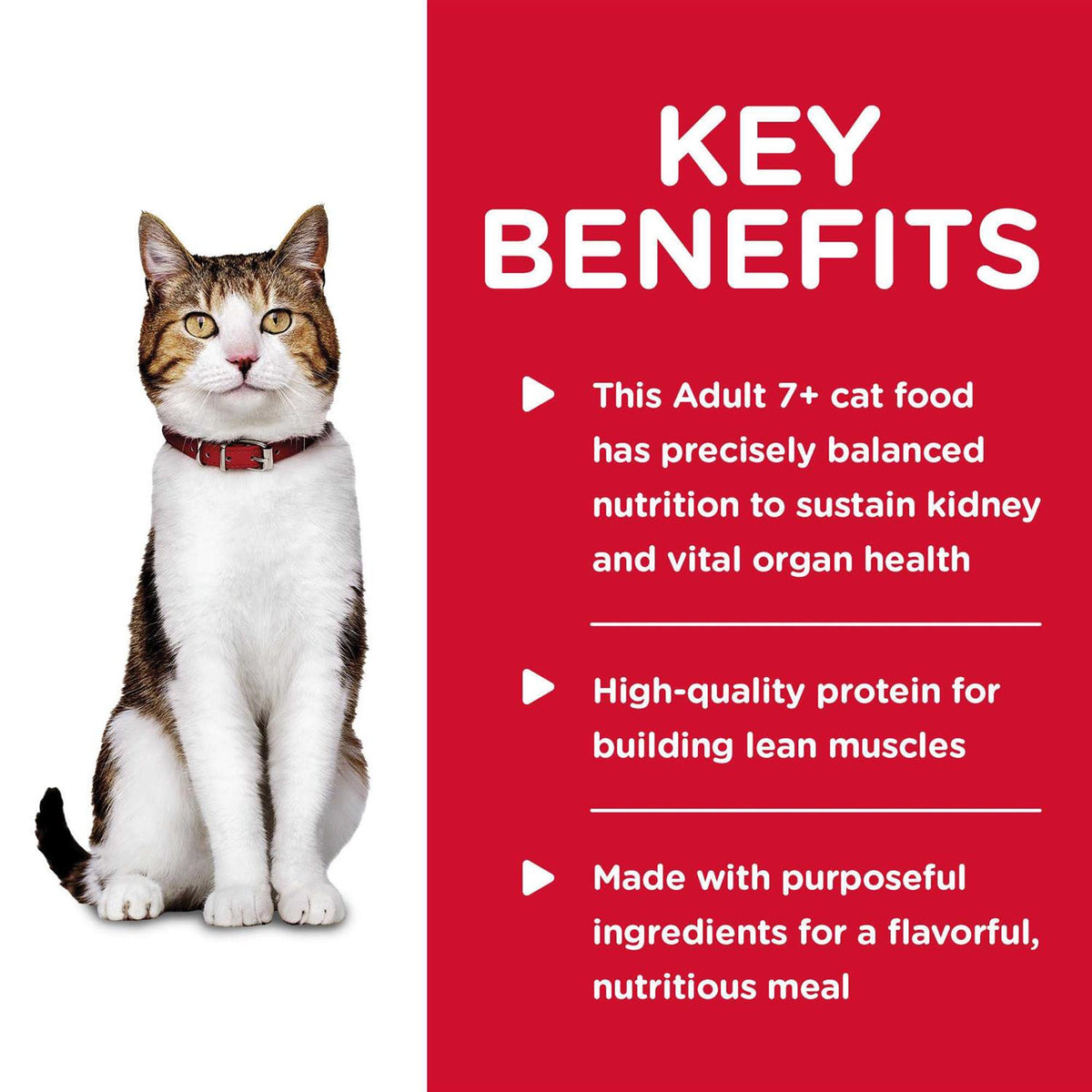 Adult 7+ Chicken Entree Cat Food O760
