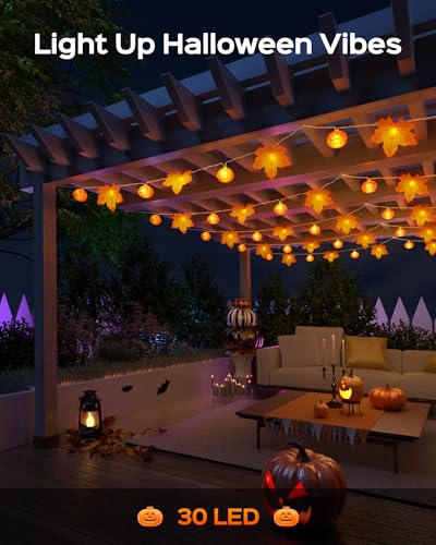 Christmas Projector Light & 60-LED String Lights 30FT 8 Modes O1983