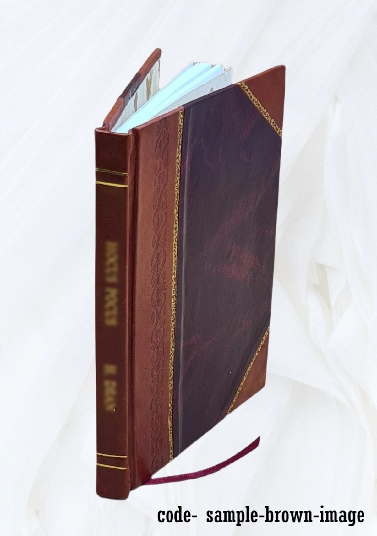 History of Ireland in the Nineteenth Century Leather Bound A48894