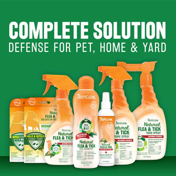 Natural Flea & Tick Shampoo Q666316