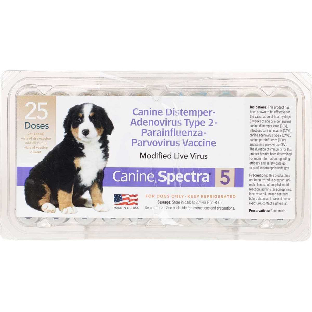Dog Vaccine S614293