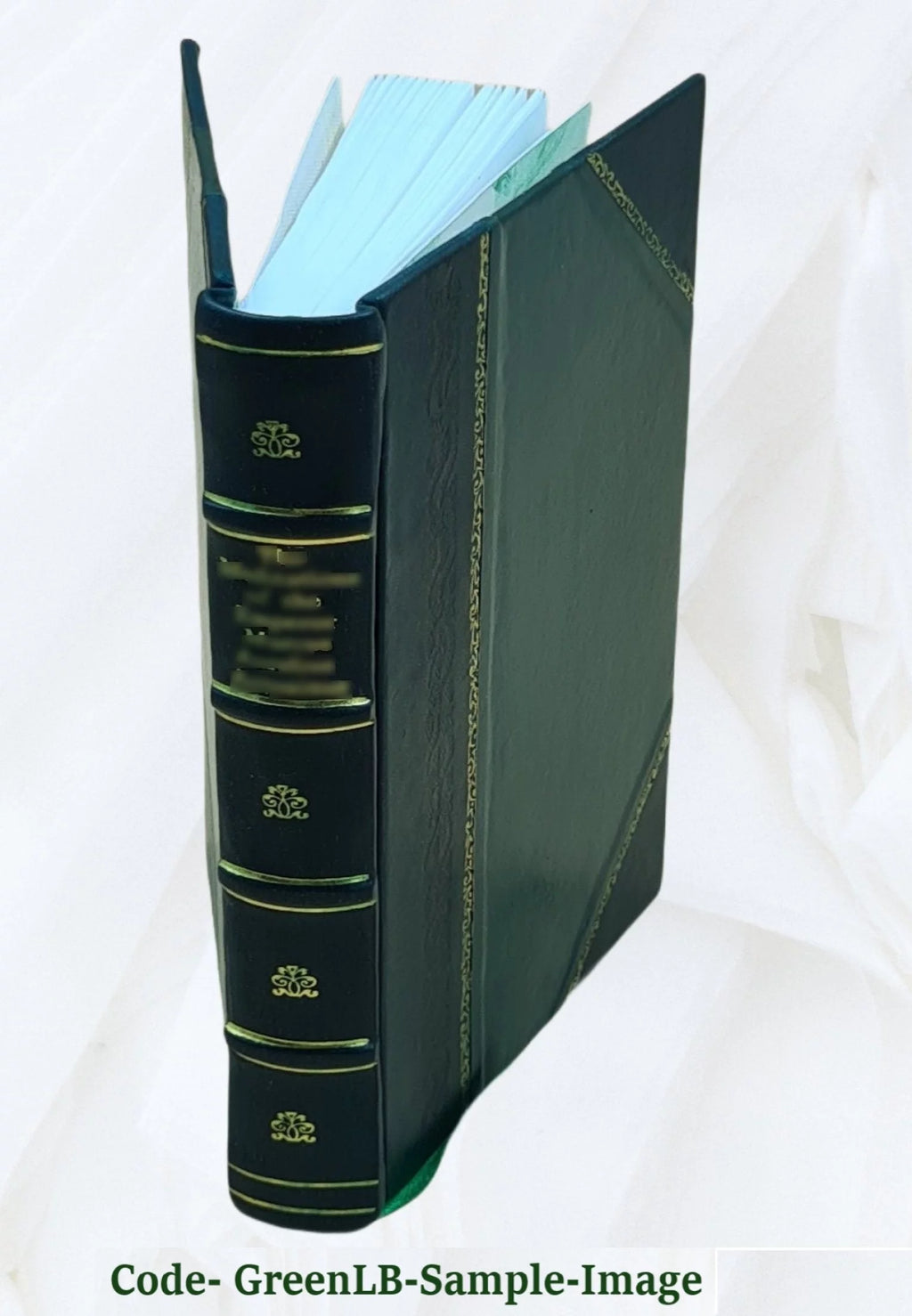Leather Bound U2702