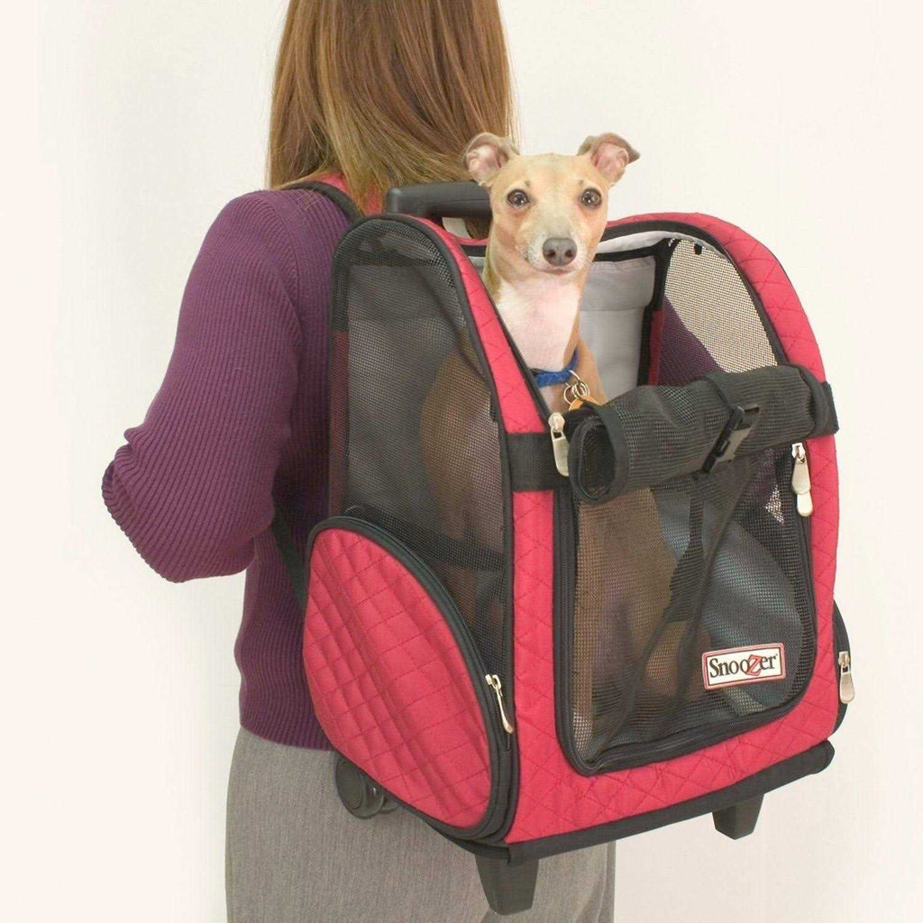 Travel Pet Carrier A1482