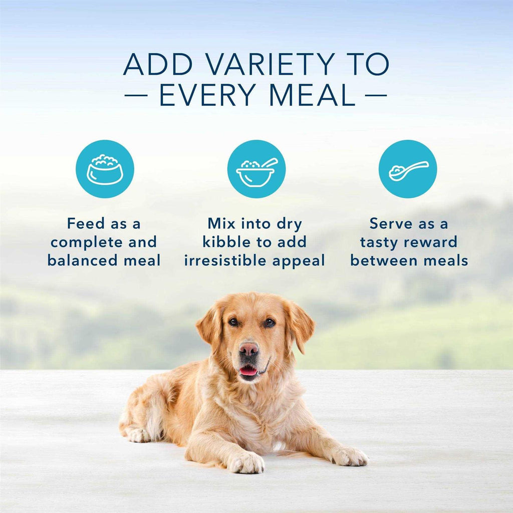 Dog Food Y4846
