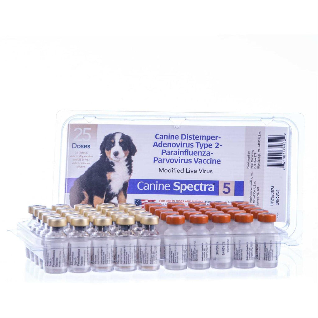 Dog Vaccine S614293