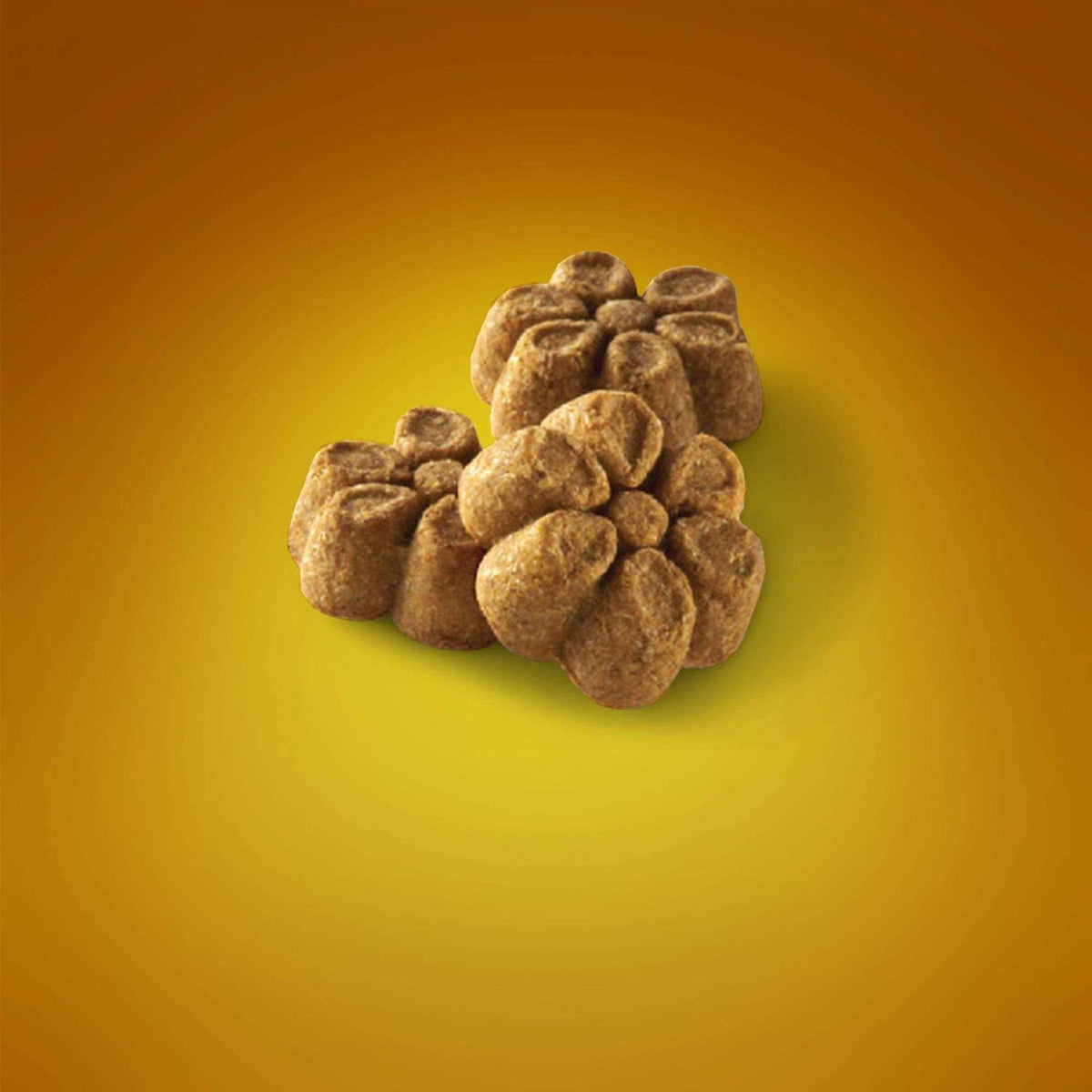 Pumpkin Dog Treats J96238