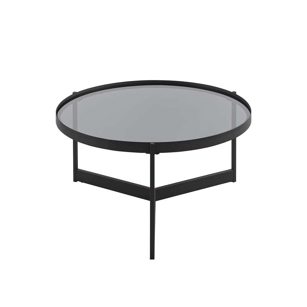 Metal and Glass Coffee Table T110485